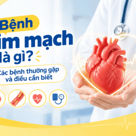 bệnh tim mạch
