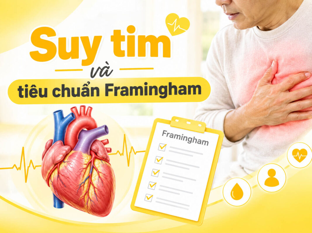 framingham suy tim
