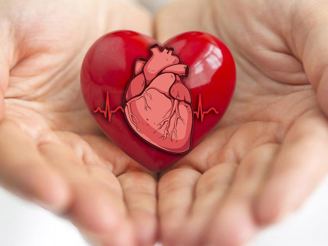 hưởng ứng ngày tim mạch thế giới