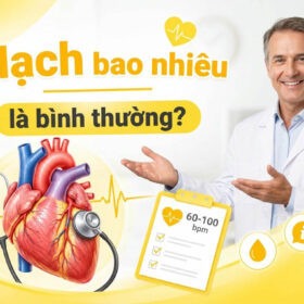 mạch bao nhiêu là bình thường