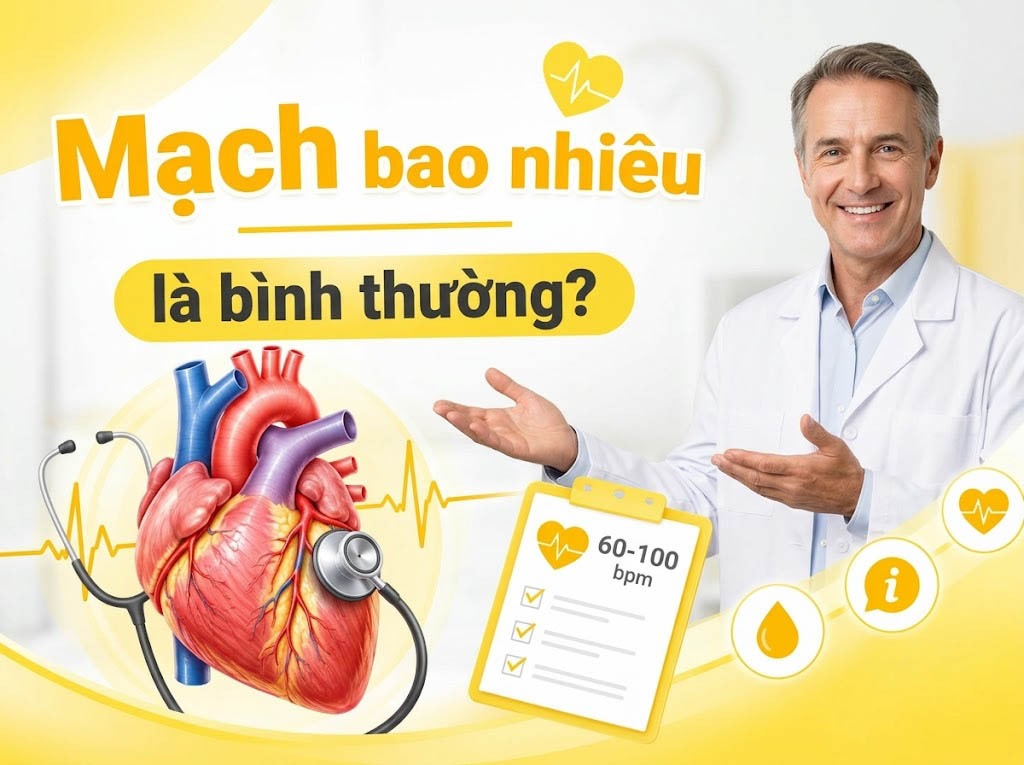 mạch bao nhiêu là bình thường