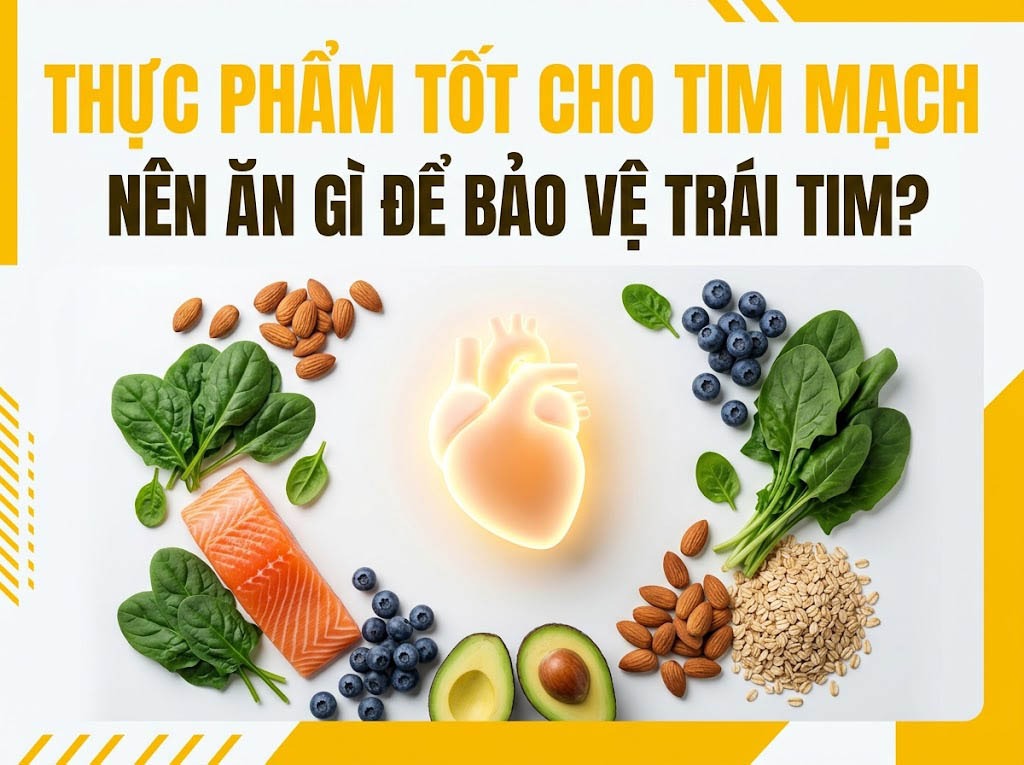thực phẩm tốt cho tim mạch